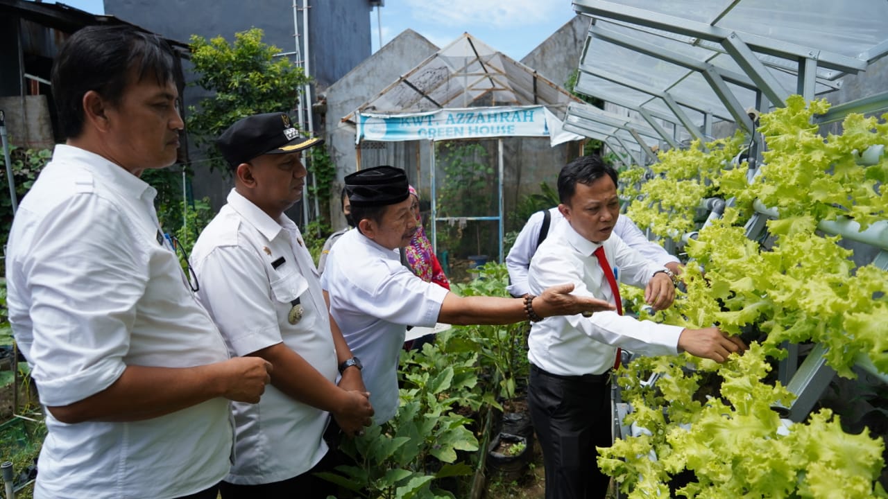 Plt Kadis Ketapang, Bersama Camat Tamalanrea Panen Sayur di Longwis